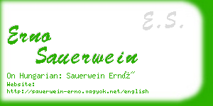 erno sauerwein business card